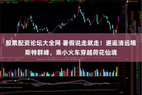 股票配资论坛大全网 暑假说走就走！邂逅清远喀斯特群峰，乘小火车穿越荷花仙境