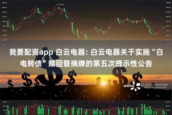 我要配资app 白云电器: 白云电器关于实施“白电转债”赎回暨摘牌的第五次提示性公告